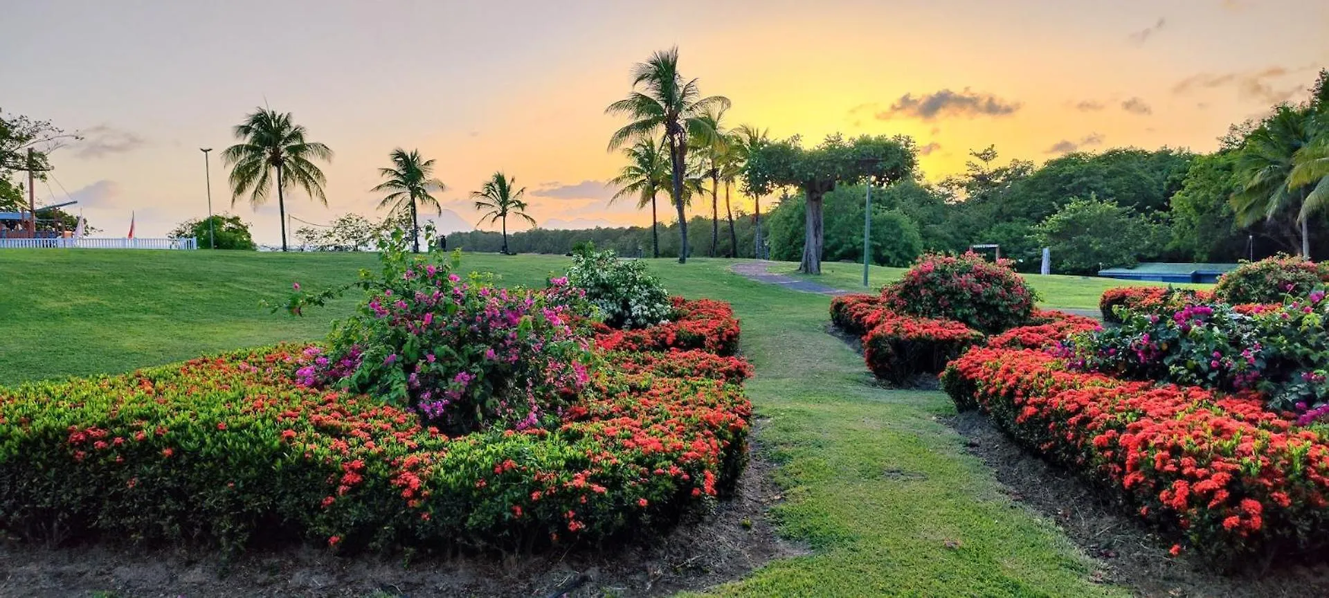 Apartament Ste Luce Martinique Studio 3 Personnes Residence Tourisme Pierre Et Vacances Sainte-Luce Martynika
