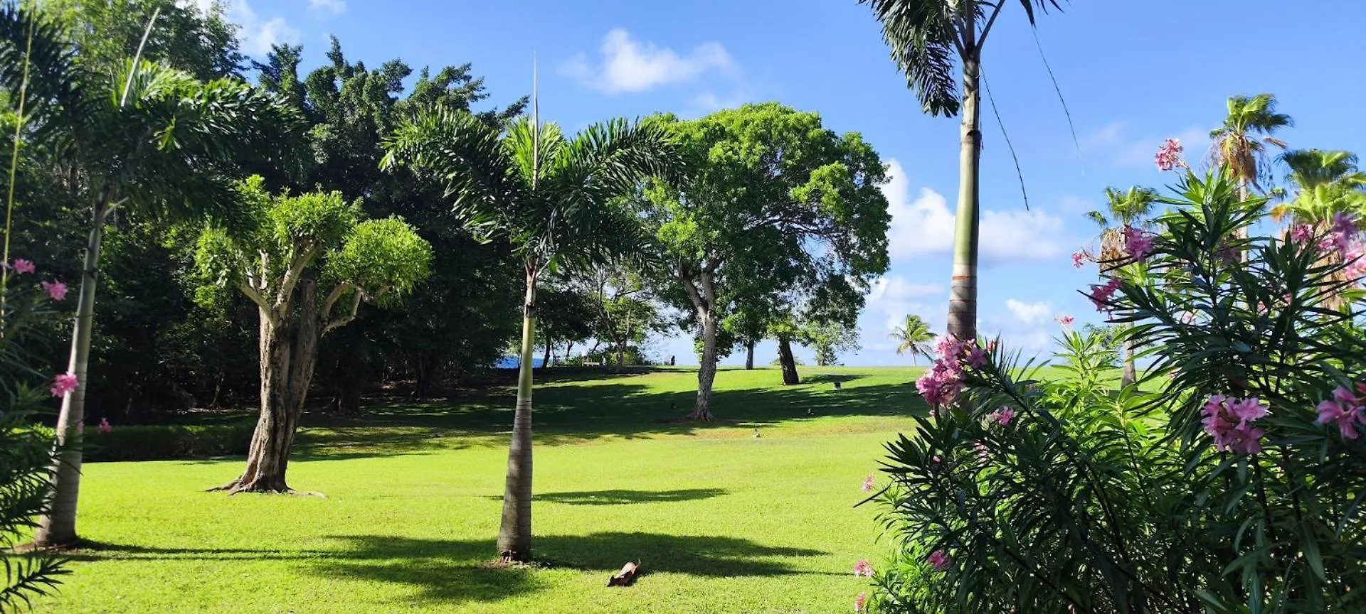 Ste Luce Martinique Studio 3 Personnes Residence Tourisme Pierre Et Vacances Sainte-Luce 0*,